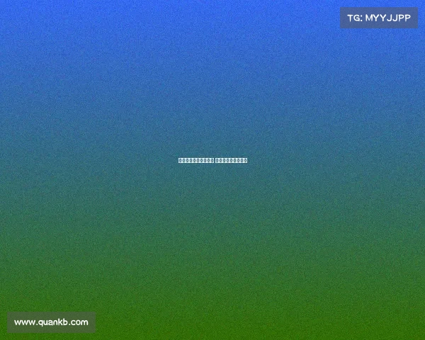 德甲官方平台全新升级 打造球迷互动新体验